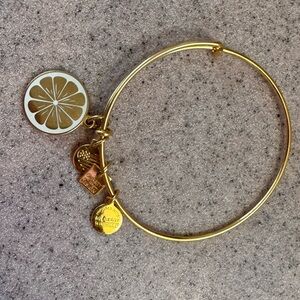 Alex and Ani zest for life energy charm bangle gold